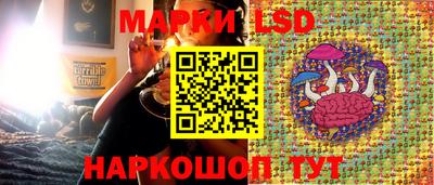 СК Рыбинск