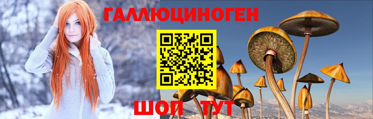 Галлюциногенные грибы ЛСД  Вход с VPN  Родники 